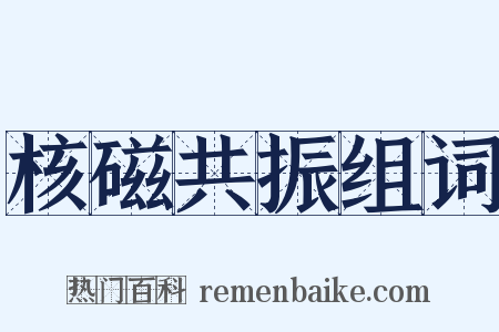 核磁共振组词是什么意思的图片